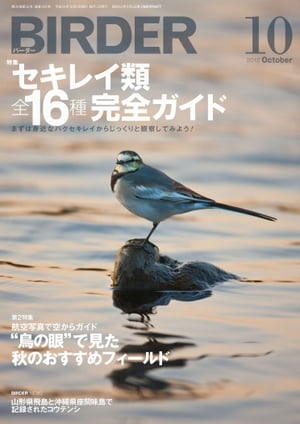 BIRDER 2012年 10月号