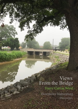 Views From the Bridge: Downtown Hattiesburg, Mississippi
