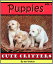 Puppies - Volume 1 A Photo Collection of Adorable, Cuddly PuppiesŻҽҡ[ Jen Weston ]