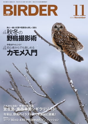 BIRDER 2013年 11月号