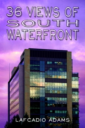 36 Views of South Waterfront