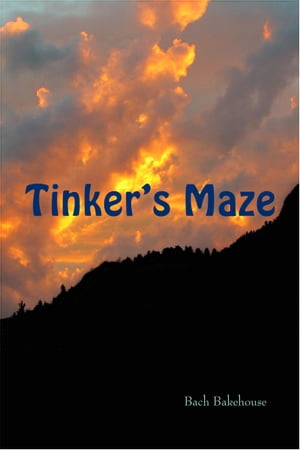 Tinker's Maze