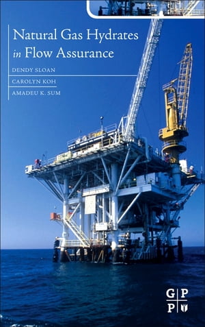 Natural Gas Hydrates in Flow Assurance【電子書籍】[ E Dendy Sloan ]