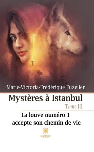 Mystères à Istanbul - Tome 3