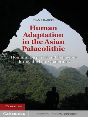 Human Adaptation in the Asian Palaeolithic