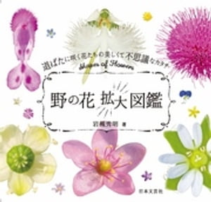 野の花拡大図鑑【電子書籍】[ 岩槻秀明 ]