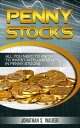 Penny Stocks For Beginners - Trading Penny Stocks All You Need To Know To Invest Intelligently in Penny Stocks