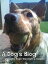 A Dog's Blog II: Straight From The Mutt's Mouth!Żҽҡ[ Ginny Stone ]