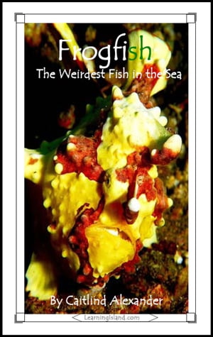 Frogfish: The Weirdest Fish in the Sea