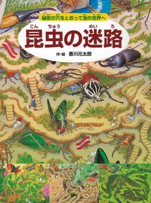 昆虫の迷路 ～秘密の穴をとおって虫の世界へ～