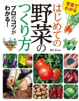 写真でわかる はじめての野菜のつくり方 プロのコツがわかる！【電子書籍】[ 酒川香 ]