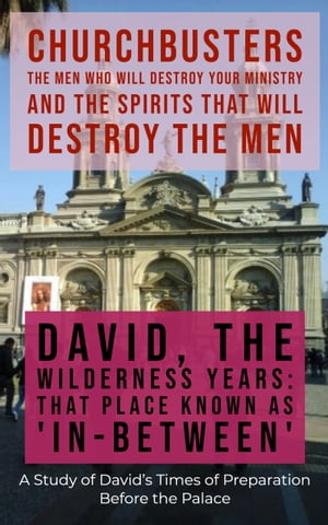 David: The Wilderness Years (That Place Known As 'In-Between') - A Study of David's Times of Preparation Before the Palace