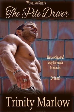 ŷKoboŻҽҥȥ㤨The Pile DriverŻҽҡ[ Trinity Marlow ]פβǤʤ243ߤˤʤޤ