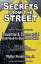 Secrets From The Street: Reveals How To Become A Manufacturers Rep;