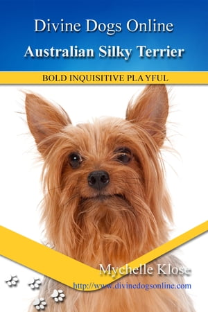 Australian Silky TerrierŻҽҡ[ Mychelle Klose ]