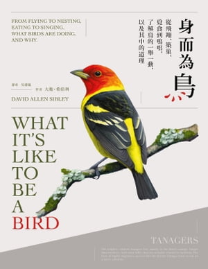 ȼĻơ?묿ľλĻŪڪưʵ¶Ūƻ What Its Like to Be a Bird: From F...