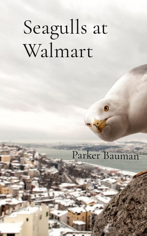 Seagulls at Walmart