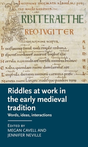 Riddles at work in the early medieval tradition