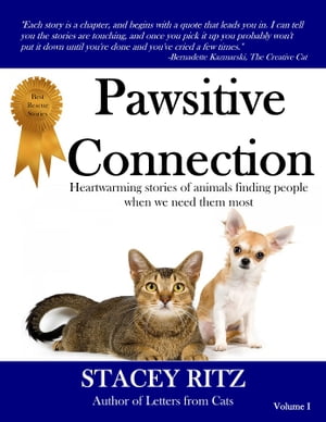 Pawsitive Connection