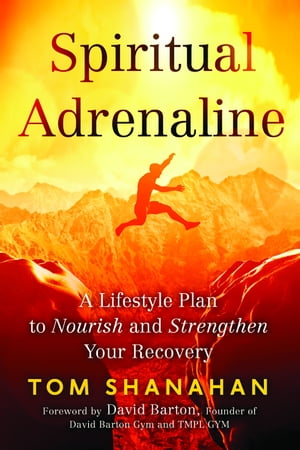 Spiritual Adrenaline A Lifestyle Plan to Nourish and Strengthen Your Recovery