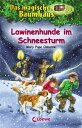 Das magische Baumhaus (Band 44) - Lawinenhunde im Schneesturm Spannendes Kinderbuch f?r M?dchen und Jungen ab 8 Jahre