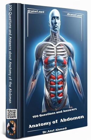 100 Questions and Answers about Anatomy of the Abdomen