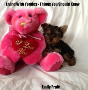 Living With Yorkies: Things You Should Know