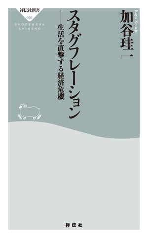 スタグフレーション　生活を直撃する経済危機【電子書籍】[ 加谷珪一 ]