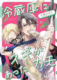 冷蔵庫にネギがあったカモ