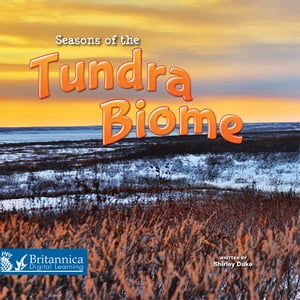 Seasons of the Tundra Biome