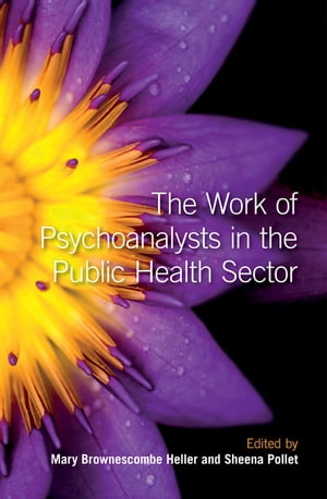 The Work of Psychoanalysts in the Public Health 