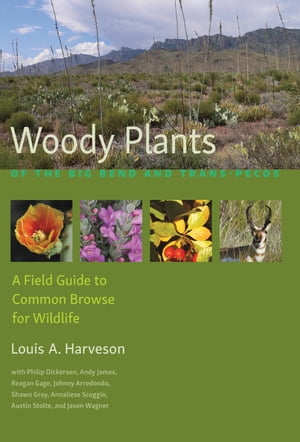 Woody Plants of the Big Bend and Trans-Pecos