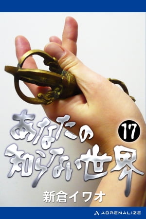 あなたの知らない世界（17）【電子書籍】[ 新倉イワオ ]