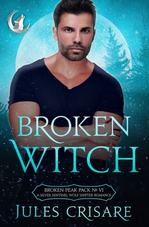 Broken Witch A Silver Sentinels Fated Mates Wolf Shifter Romance