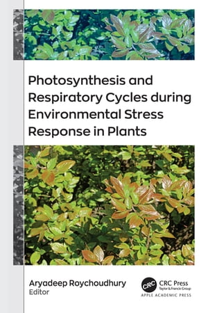 Photosynthesis and Respiratory Cycles during Environmental Stress Response in Plants