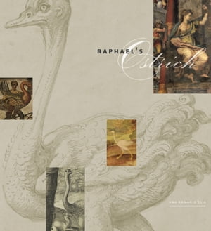 Raphael’s Ostrich