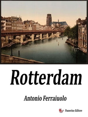 ŷKoboŻҽҥȥ㤨RotterdamŻҽҡ[ Antonio Ferraiuolo ]פβǤʤ295ߤˤʤޤ