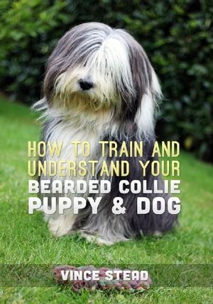 How to Train and Understand your Bearded Collie Puppy & Dog