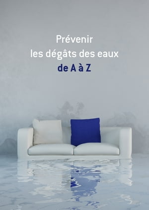 Pr?venir les d?g?ts des eaux de A ? Z Conseils et astuces pour s?curiser votre logement