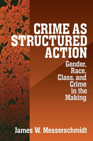 Crime as Structured Action