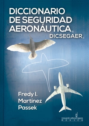 Diccionario de Seguridad Aeronáutica (DICSEGAER)
