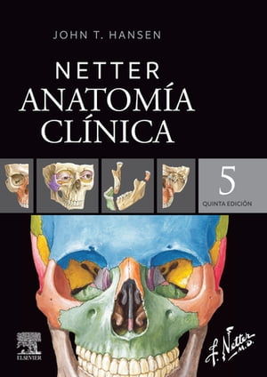 Netter. Anatomía clínica