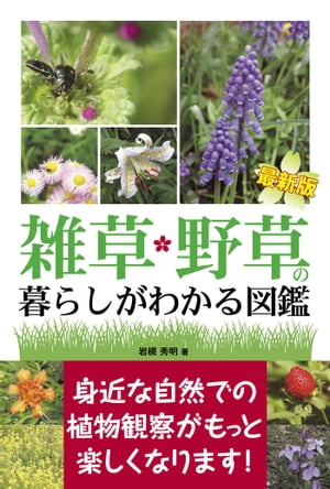 最新版 雑草・野草の暮らしがわかる図鑑【電子書籍】[ 岩槻秀