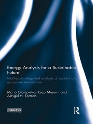 Energy Analysis for a Sustainable Future