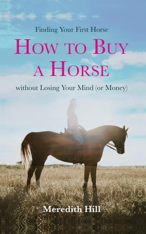 Finding Your First Horse: How to Buy a Horse Without Losing Your Mind (or Money)