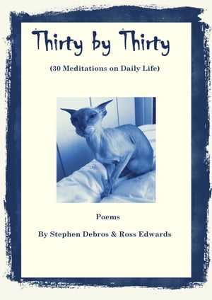 Thirty by Thirty (30 Meditations on Daily Life)