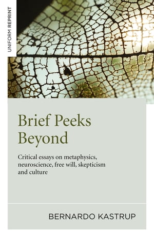 Brief Peeks Beyond