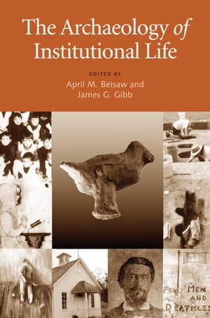 The Archaeology of Institutional LifeŻҽҡ[ Owen Lindauer ]