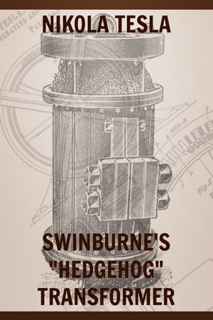 Swinburne's "Hedgehog" Transformer