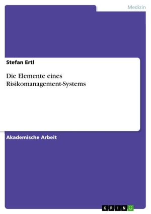 Die Elemente eines Risikomanagement-Systems